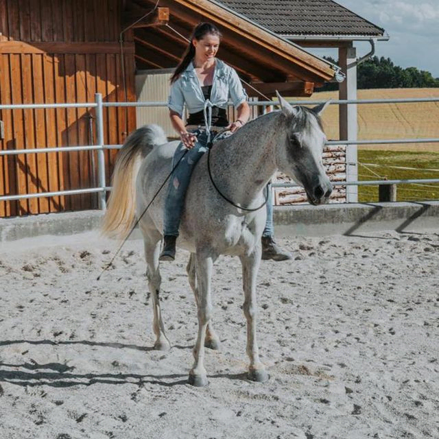 Reiten am Halsring